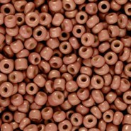 Seed beads 8/0 (3mm) Fired brick brown